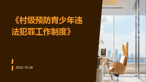 村级预防青少年违法犯罪工作制度