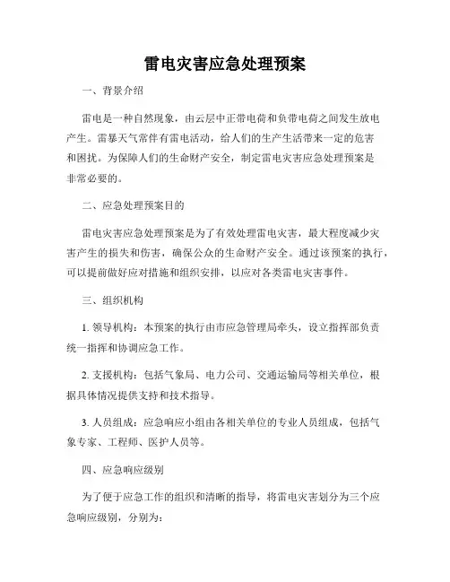 雷电灾害应急处理预案