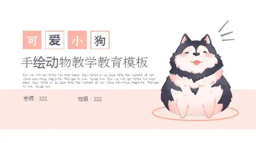 手绘动物教学教育PPT模板