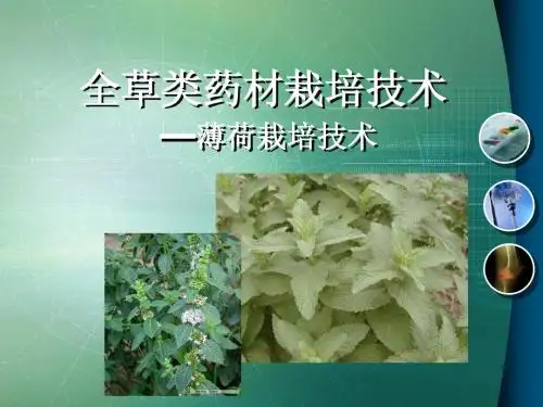 全草类药材栽培技术