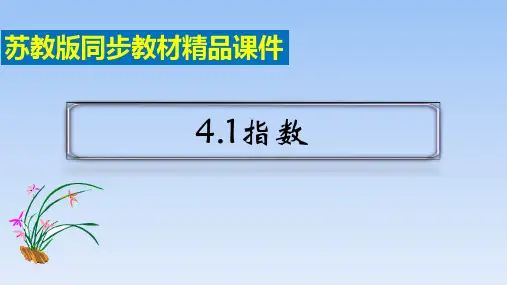 苏教版高中数学必修第一册《指数》精品课件