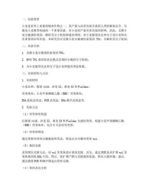 小麦基因克隆实验报告