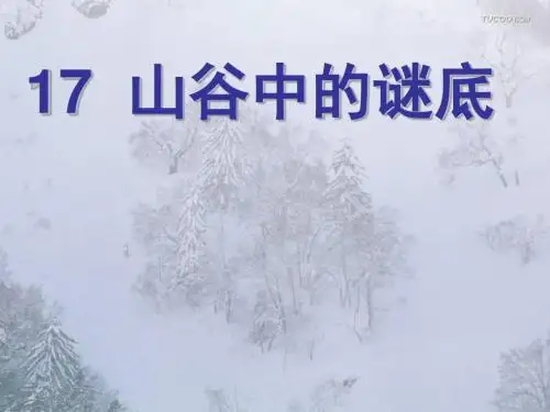 山谷中的谜底课件