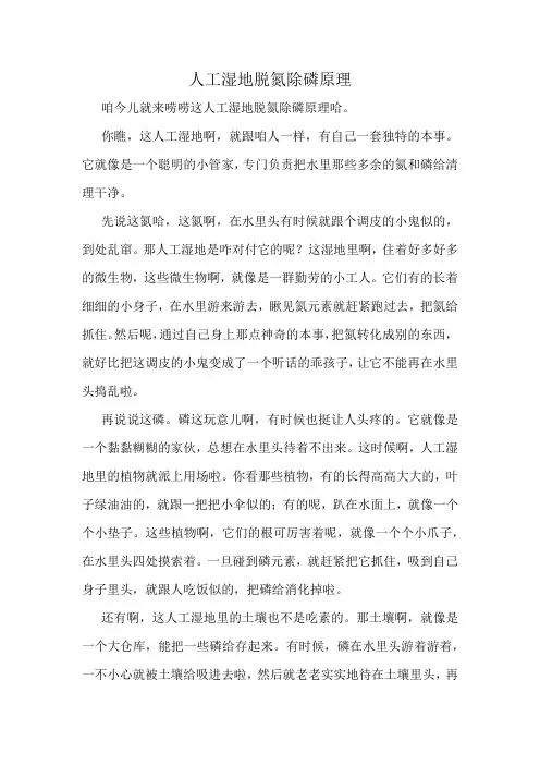 人工湿地脱氮除磷原理