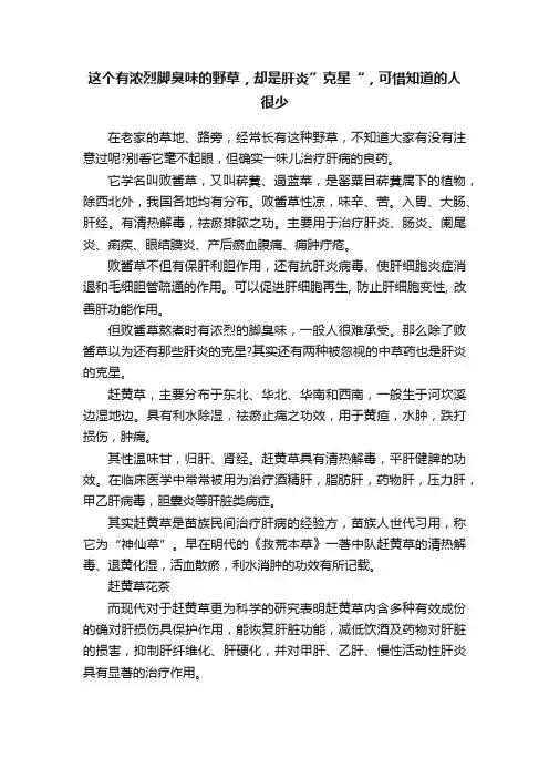 这个有浓烈脚臭味的野草，却是肝炎”克星“，可惜知道的人很少