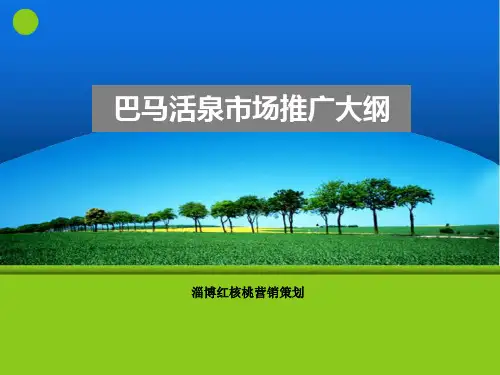 巴马活泉市场营销规划大纲