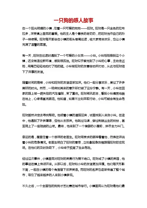 一只狗的感人故事