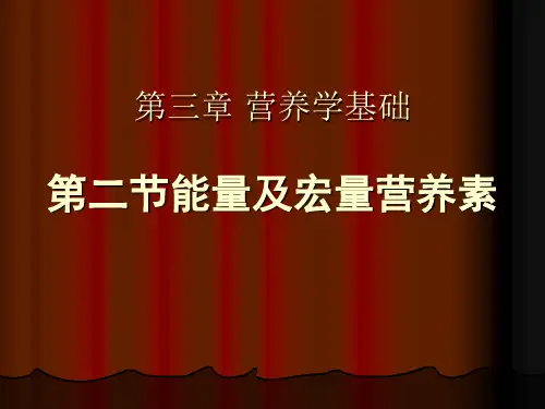 能量及宏量营养素详解