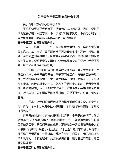 关于青年干部军训心得体会5篇