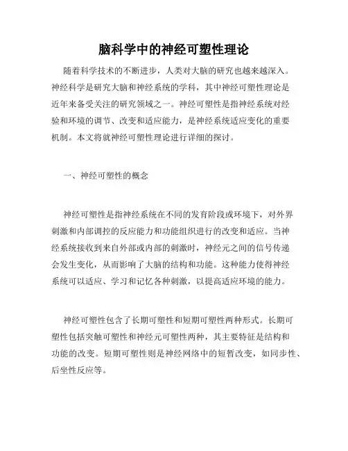 脑科学中的神经可塑性理论
