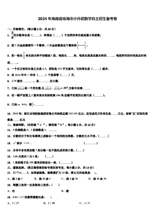2024年海南省琼海市小升初数学自主招生备考卷含解析