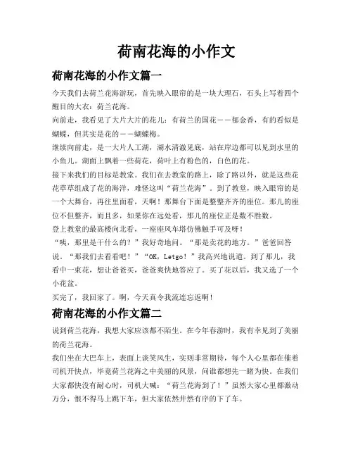 荷南花海的小作文