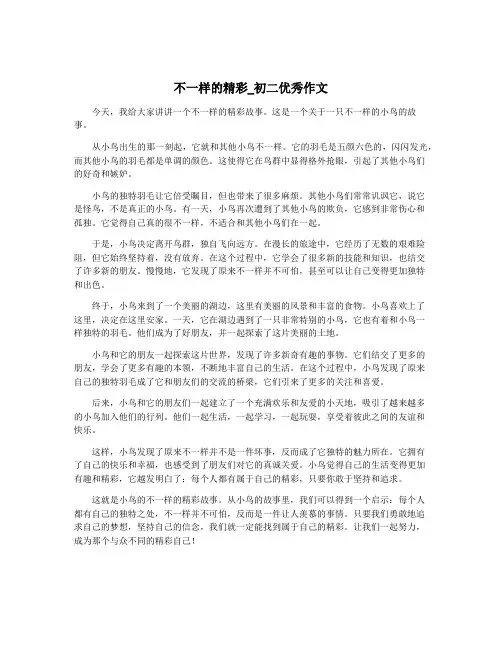 不一样的精彩_初二优秀作文