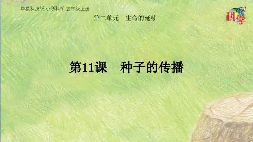 粤教版科学《种子的传播》ppt教学课件1