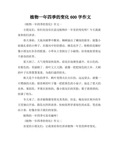植物一年四季的变化600字作文