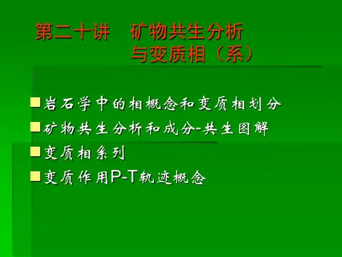 变质岩——第二十讲矿物共生组合与变质相概念_2014.
