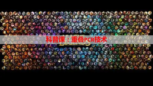 高三二轮复习生物：PCR技术1-重叠PCR技术课件(共19张PPT)