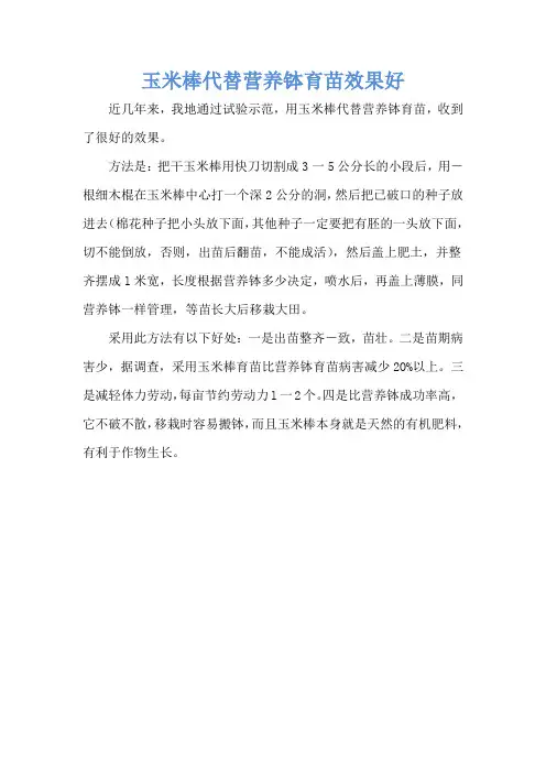 玉米棒代替营养钵育苗效果好