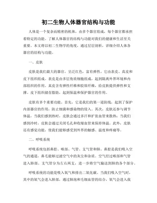 初二生物人体器官结构与功能