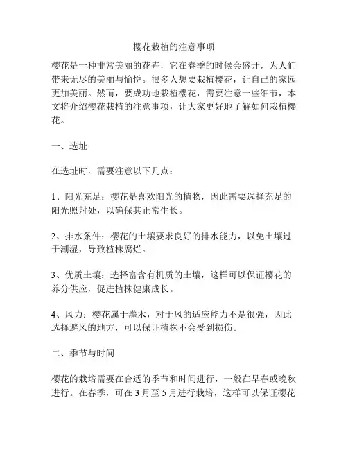樱花栽植的注意事项