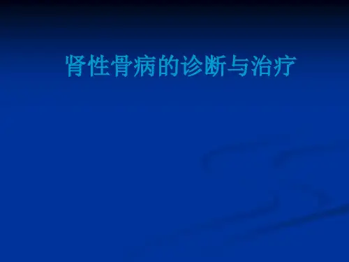 肾性骨病的诊断治疗
