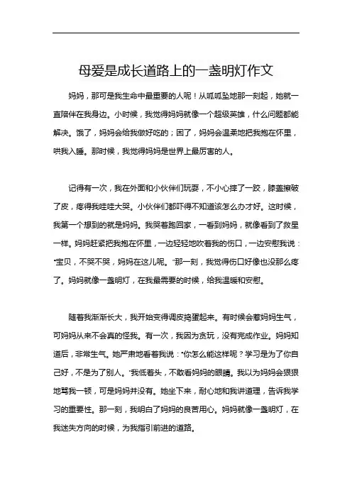 母爱是成长道路上的一盏明灯作文