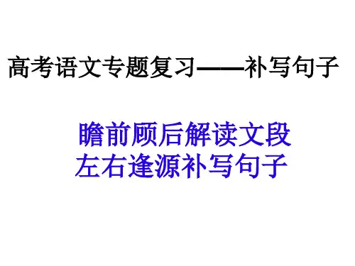 高考语文专题复习《补写句子》精品PPT