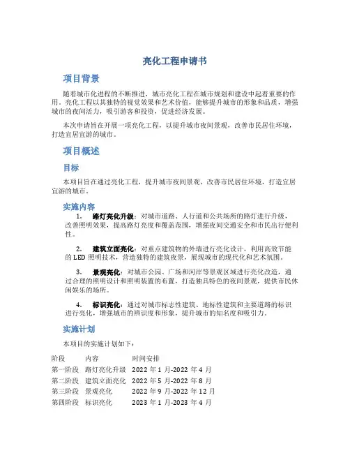 亮化工程申请书