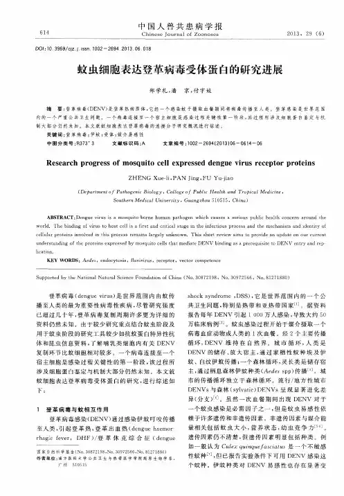 蚊虫细胞表达登革病毒受体蛋白的研究进展