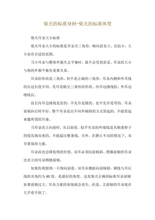 柴犬的标准身材-柴犬的标准体型