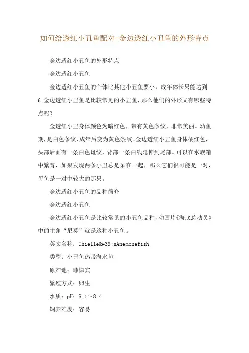 如何给透红小丑鱼配对-金边透红小丑鱼的外形特点