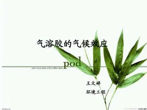 大气气溶胶的气候效应