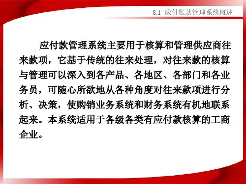 应付账款管理系统powerpoint61页
