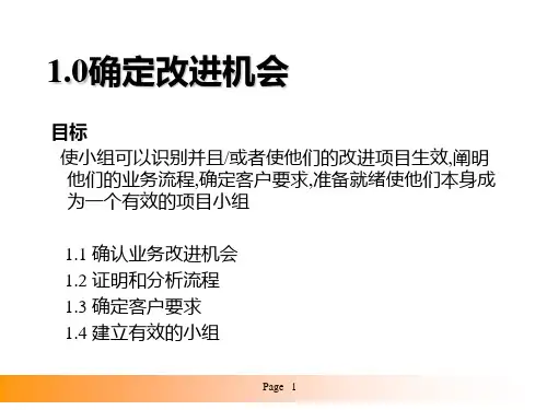 六西格玛案例6SIGMA确定改进机会课件