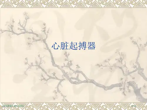 心脏起搏器专题知识讲座专家讲座