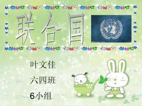 联合国ppt