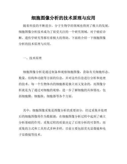 细胞图像分析的技术原理与应用
