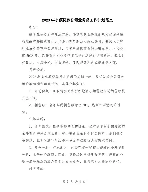 2023年小额贷款公司业务员工作计划范文