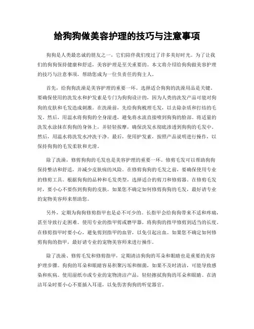 给狗狗做美容护理的技巧与注意事项