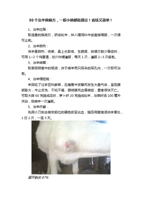 30个治羊病偏方，一般小病都能搞定！省钱又简单！