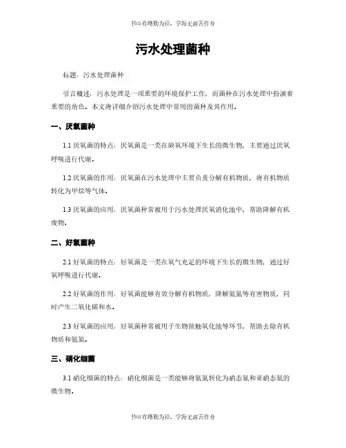 污水处理菌种