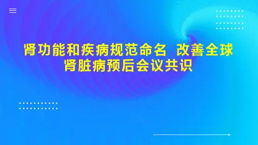 肾功能和疾病规范命名 改善全球肾脏病预后会议共识