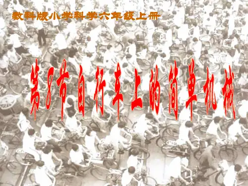 教科版六年级科学第一单元第八节自行车上的简单机械