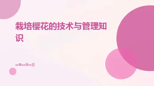 栽培樱花的技术与管理知识
