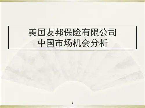 美国友邦保险有限公司中国市场机会分析SWOT-文档资料