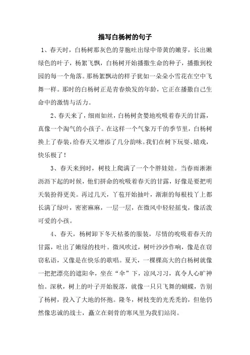 描写白杨树的句子