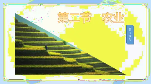 初中地理八上册课件人教版 4.2 课时1 农业的重要性与我国农业的地区分布(28页)