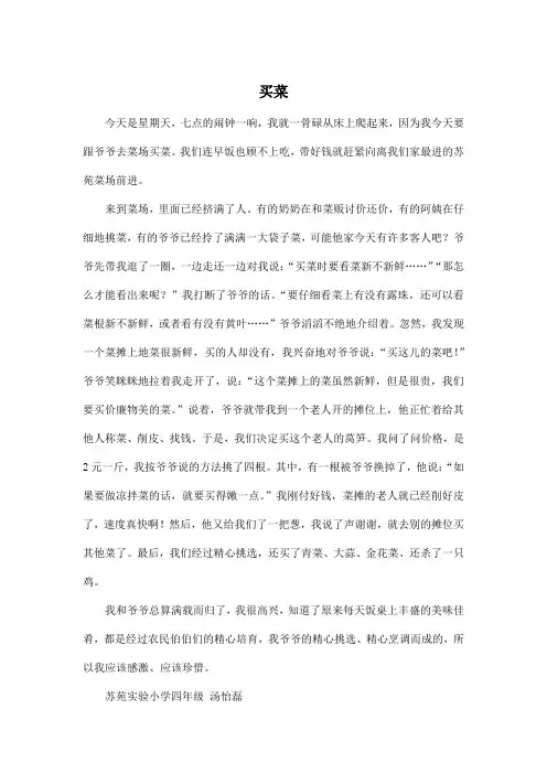 买菜_小学四年级作文600字