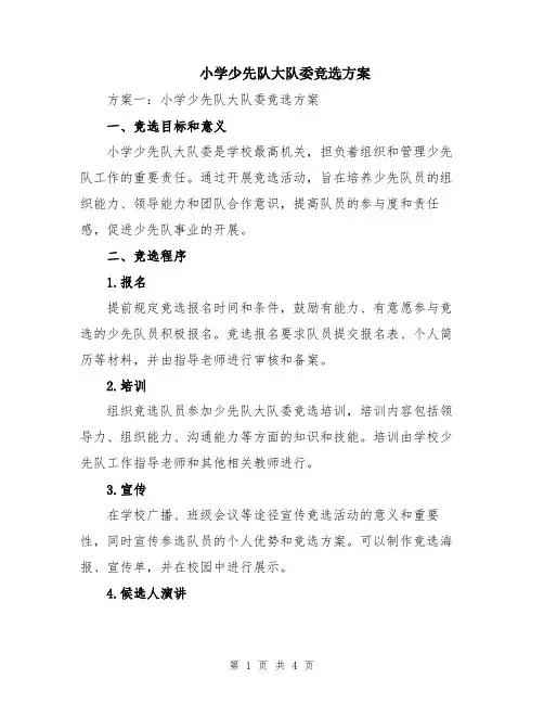 小学少先队大队委竞选方案