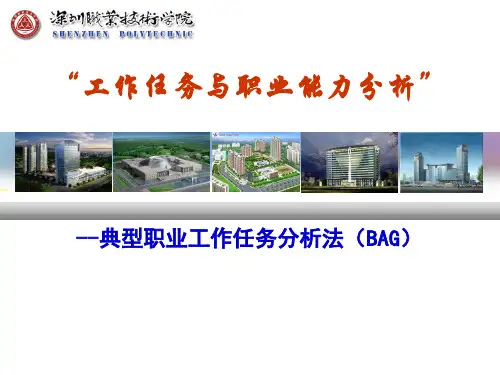 典型职业工作任务分析法(BAG)